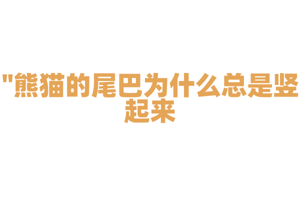 "熊猫的尾巴为什么总是竖起来？"